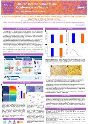 Freire et al. Poster IOCTO2026.pdf